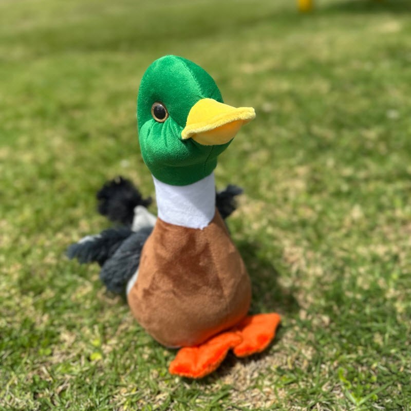 Peluche Pato