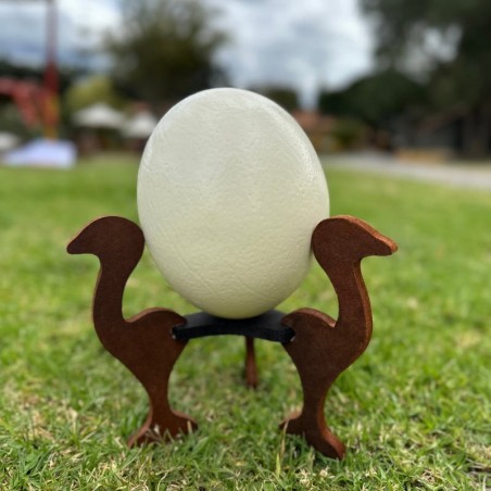 Base para cascarones