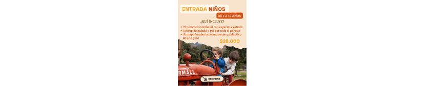ENTRADA NIÑOS