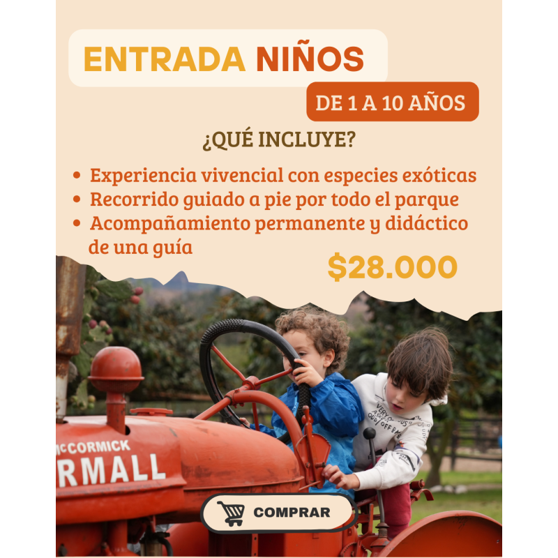 ENTRADA NIÑOS