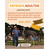 ENTRADA ADULTOS