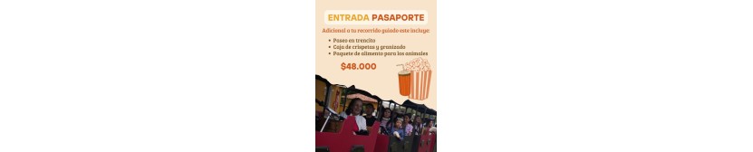 ENTRADA PASAPORTE